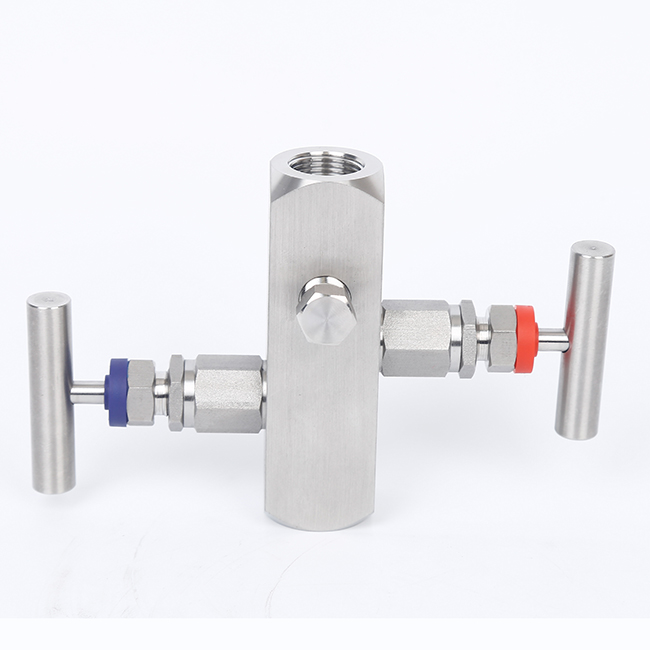 C276哈氏合金二閥組