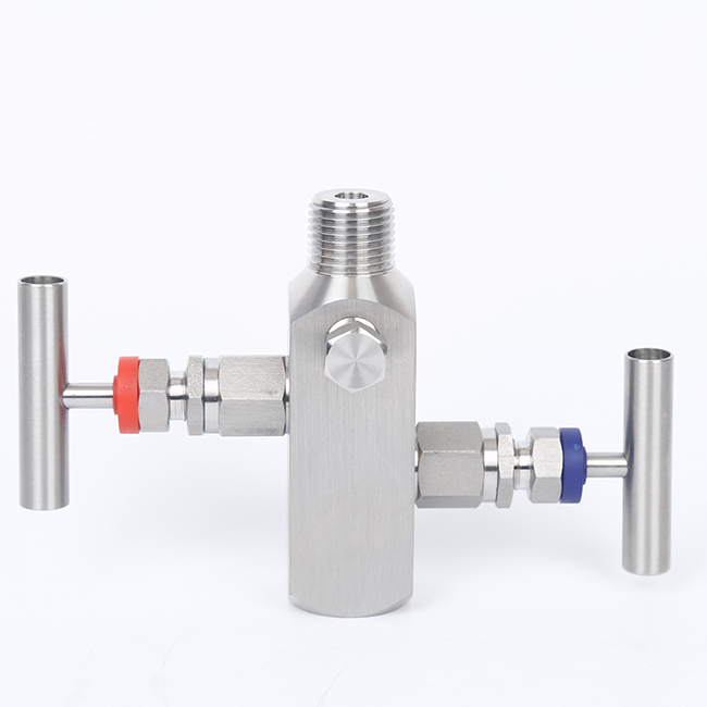 壓力表柱式二閥組